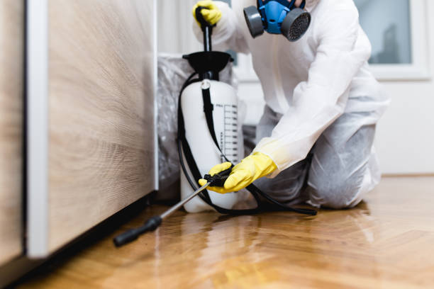 Best Affordable Pest Control Services  in Brinckerhoff, NY