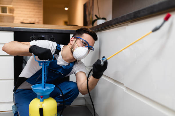 Best Affordable Pest Control Services  in Brinckerhoff, NY