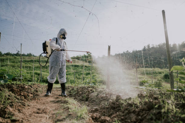 Best Pest Control for Businesses  in Brinckerhoff, NY