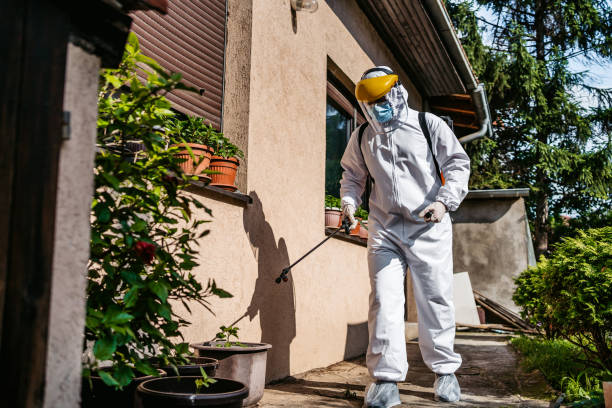 Best Pest Prevention Services  in Brinckerhoff, NY