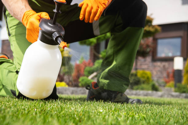 Best Termite Control Services  in Brinckerhoff, NY