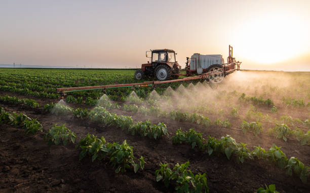 Best Mosquito Control Services  in Brinckerhoff, NY