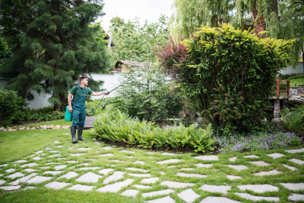 Best Exterminator Services  in Brinckerhoff, NY