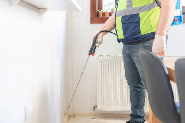 Flea Control Services in Brinckerhoff, NY