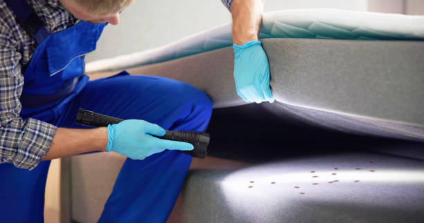 Best Rat Extermination Near Me  in Brinckerhoff, NY