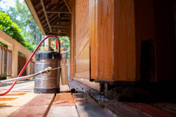 Best Pest Inspection Near Me  in Brinckerhoff, NY