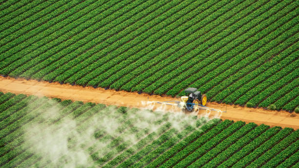 Best Pest Removal Services  in Brinckerhoff, NY