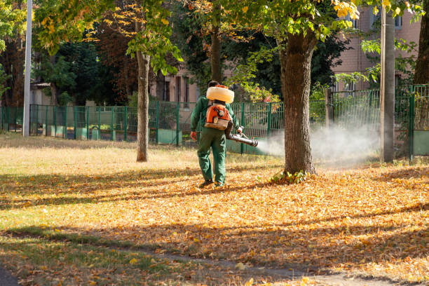 Best Pest Prevention Services  in Brinckerhoff, NY